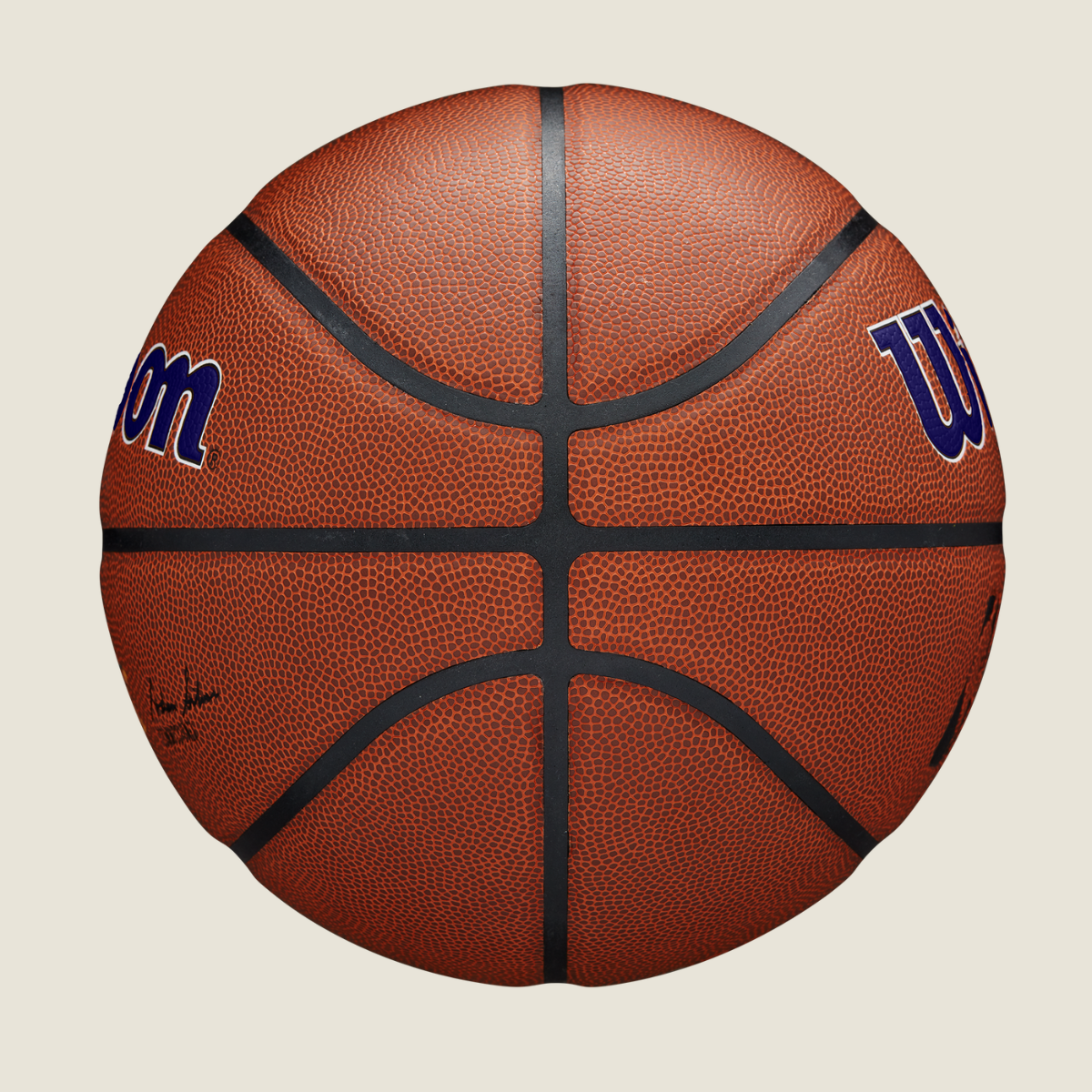 NBA TEAM ALLIANCE PHO