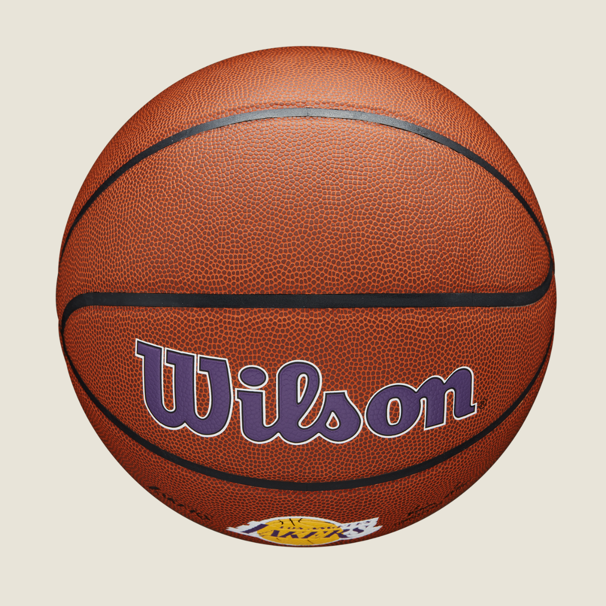 NBA TEAM ALLIANCE LAKERS