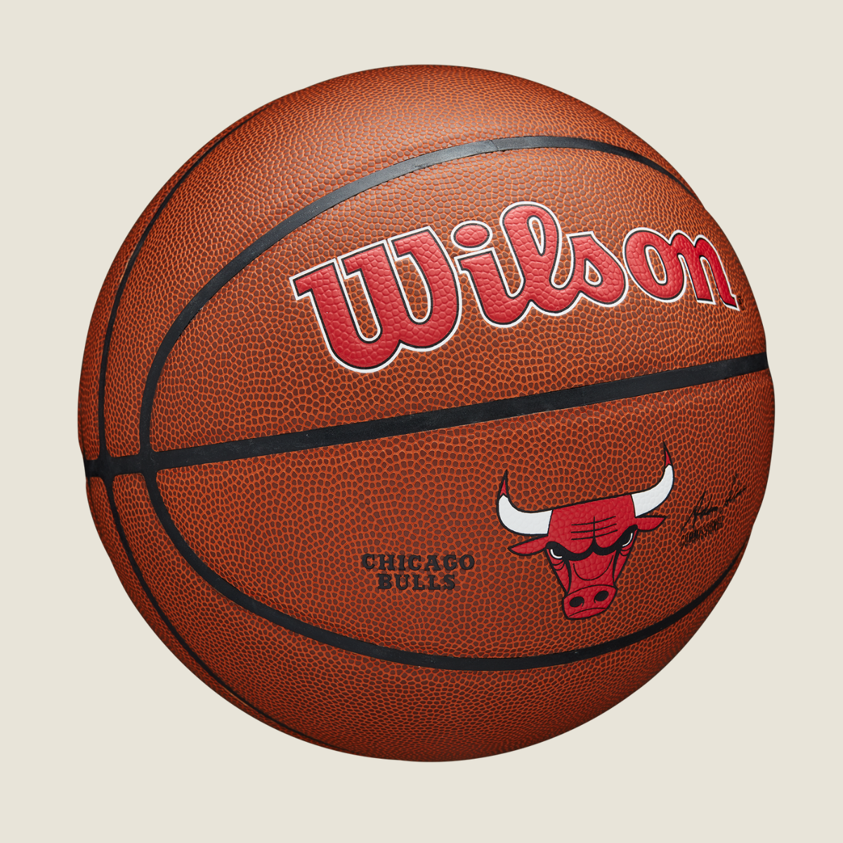 NBA TEAM ALLIANCE CHI BULLS