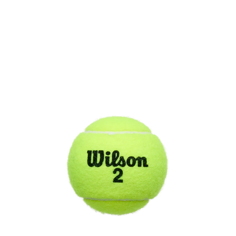 Pelota de Tenis Championship Extra Duty