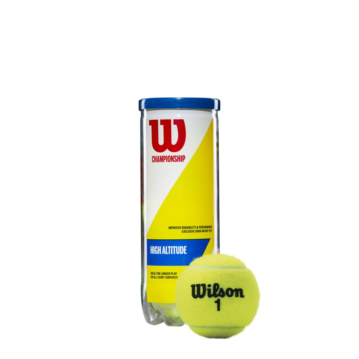 Bote de 3 pelotas de tenis Roland Garros All Court Wilson
