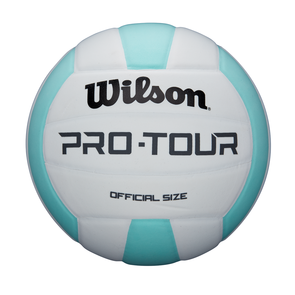 Balón de Volleyball Pro Tour Celeste