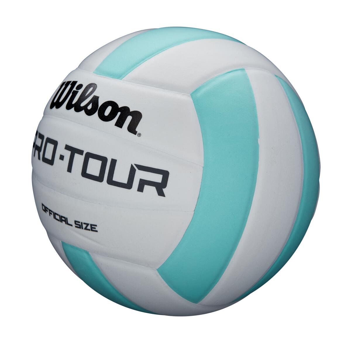 Balón de Volleyball Pro Tour Celeste