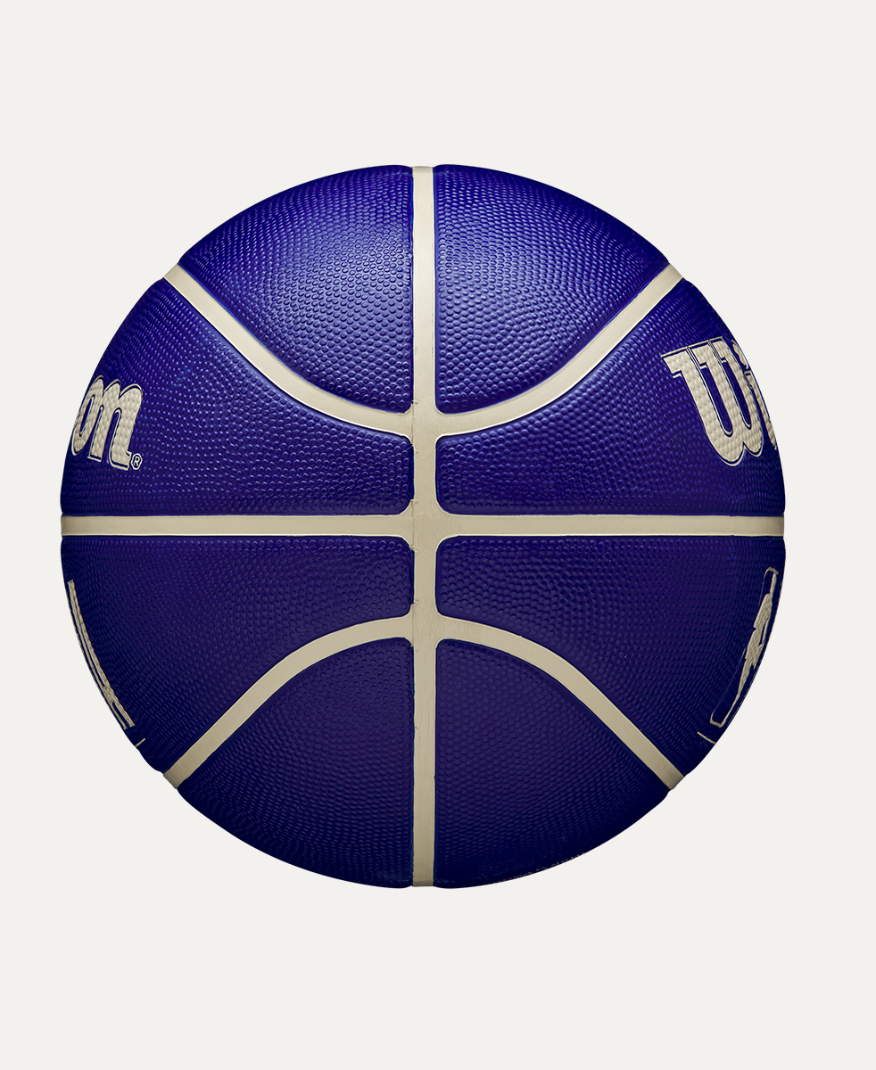 Balon de Basketball NBA DRV Indigo Talla 7