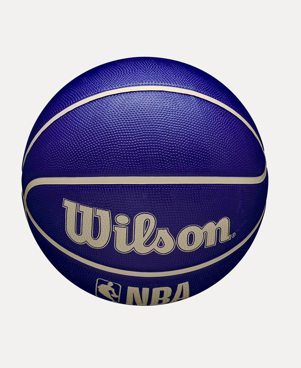Balon de Basketball NBA DRV Indigo Talla 7